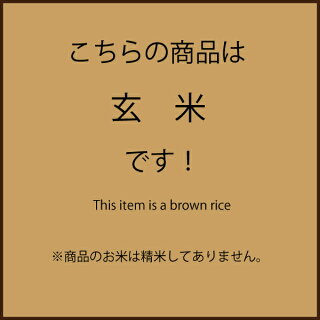 4kg(2kg×2袋)令和2年産 ひのひかり 玄米 宮崎県産 備蓄米