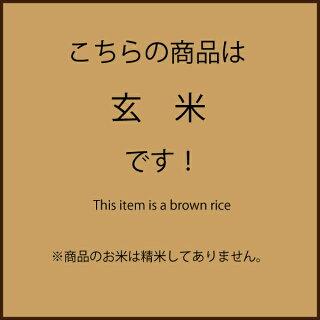 4kg(2kg×2袋)令和3年産 ひのひかり 玄米 宮崎県産 備蓄米
