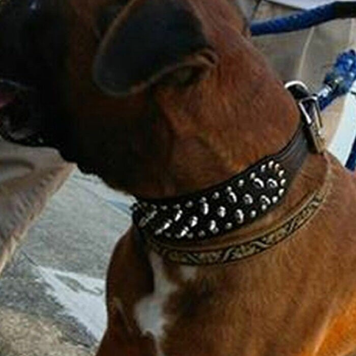 首輪 犬用 ブラック スタッズ トゲトゲ ワイルド スパイク チョーカー バックル 調節 ベルト ペット 安全 散歩 中型犬 大型犬 かっこいい おしゃれ 個性的 リード 5穴