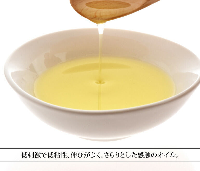 グレープシード オイル 100ml アルミパウチ 【 キャリアオイル ヘアケア マッサージオイル 植物性 スキンケア carrier 】