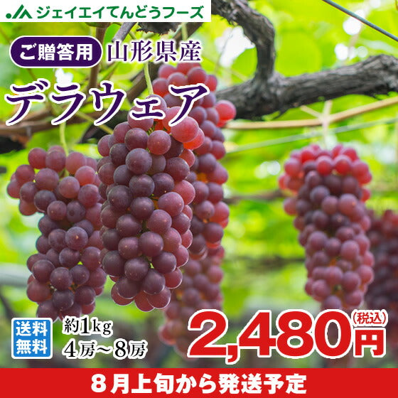 ギフト お中元 秀品 ぶどう 山形県産 デラウェア 約1kg(4〜8房)【送料無料】※九州・沖縄・一部離島は別途送料