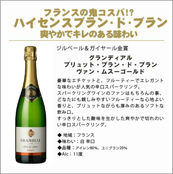 【送料無料】ワイン セット 辛口だけ!衝撃コスパスパークリング 第2弾 750ml 6本セット辛口 スパーク 白 泡 ギフト【北海道・東北・四国・九州・沖縄県は必ず送料がかかります】