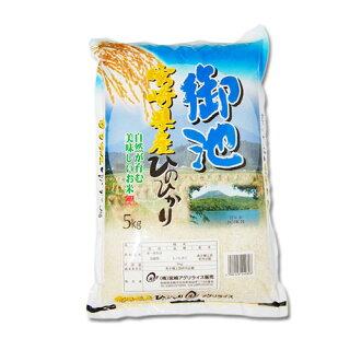 5kg (5kg×1袋)令和3年 九州 宮崎県産ひのひかり白米