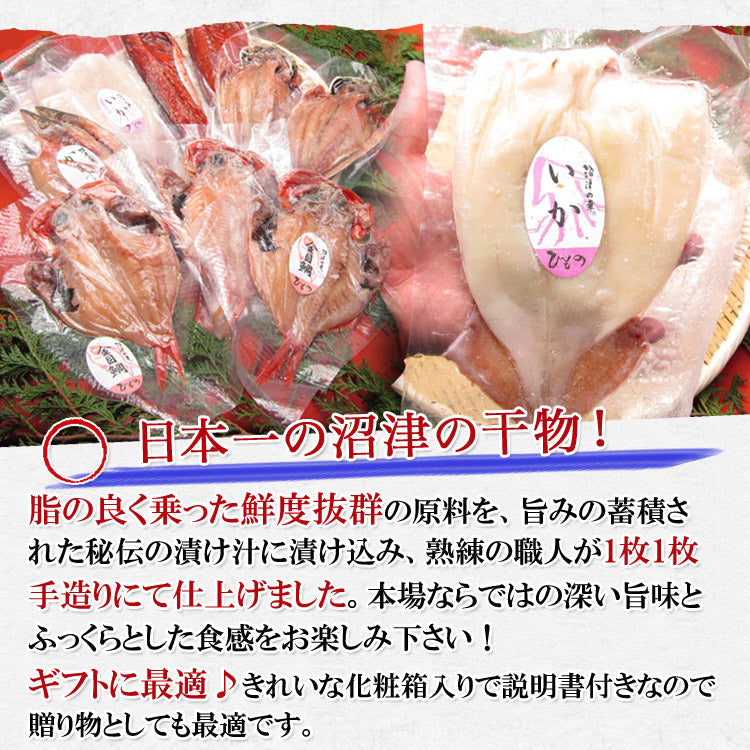 送料無料 沼津の幸 一夜干しセット 冷凍便 金目鯛 真アジ 開きイカ かます サバ味醂 贈答用 お取り寄せグルメ 食品 ギフト