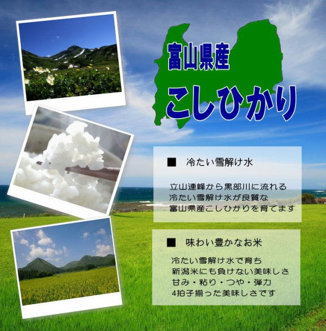 令和2年産富山県産こしひかり 10kg(5kg×2)