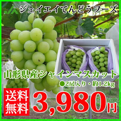 【送料無料★ギフト用】山形県産シャインマスカット2房入り(約1.2kg)≪予約商品≫※一部地域は別途送料追加