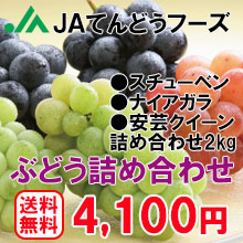 ≪予約商品≫【送料無料】山形県産ぶどう詰め合わせ(スチューベン・ナイヤガラ・安芸クイーン・2kg)※九州・沖縄・一部離島は別途送料