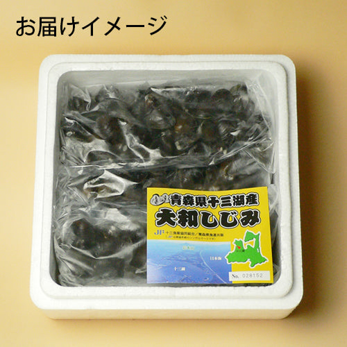 3kg 青森県十三湖 冷凍しじみ中粒 (ヤマトシジミ) 砂抜き不要