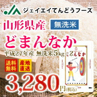 【精米日訳あり★無洗米】27年産山形県産どまんなか10kg(5kg×2)【送料無料】※一部地域は別途送料追加