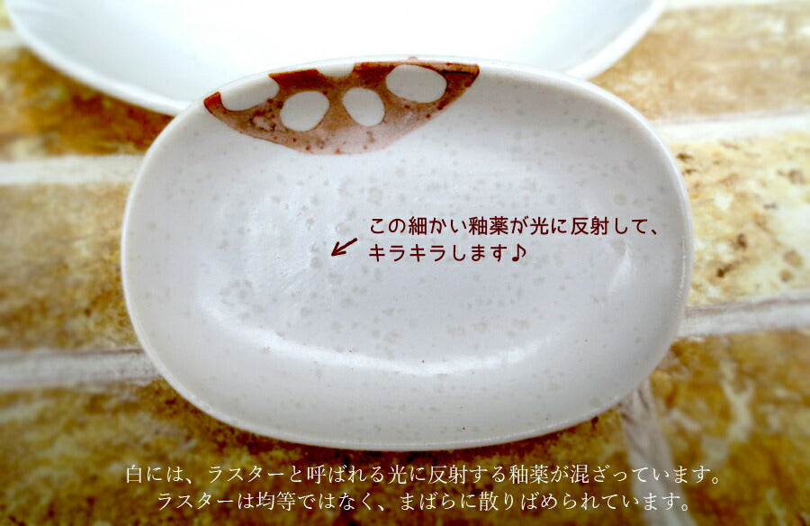 れんこん白 三角小鉢 幅12.2cm 和食器 おしゃれ 楕円小鉢 ボウル ホワイト 蓮根 レンコン 野菜 磁器 良質 国産 次世代 現代風 料亭 業務用 卸値 陶器のふる里 stockヤ