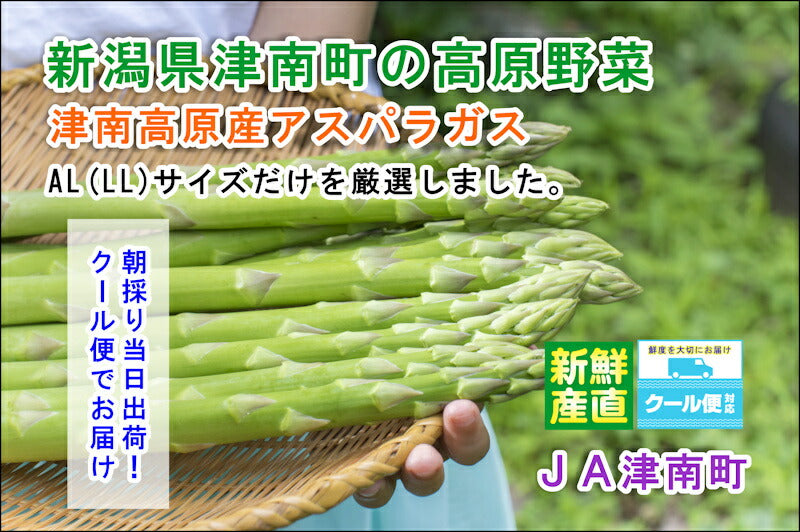【朝採り 新鮮 アスパラガス 送料無料】新潟県 JA津南町農協 朝採りたて津南高原産 アスパラガス LLサイズ4本150g10束合計40本1.5kg【当日出荷 クール便でお届】