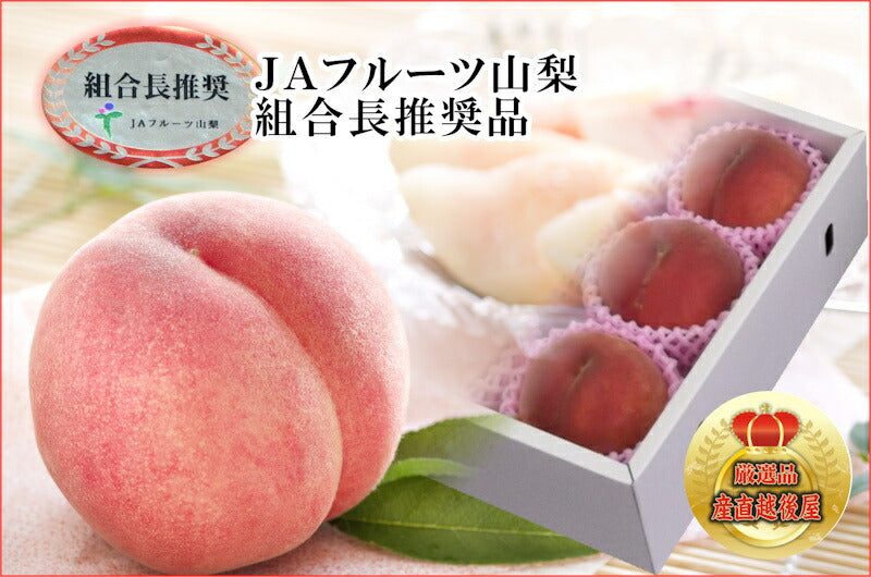 【フルーツ 桃 もも 化粧箱入り】山梨県 JAフルーツ山梨 組合長推奨の 桃(白鳳系)最高品質 化粧箱3個入り 約1kg送料無料【果物 贈答品 ギフト】