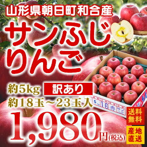 【りんごの名産地★キズあり訳あり品】山形県朝日町和合産サンふじりんご約5kg(18〜23玉)【送料無料】※九州・沖縄一部離島は別途送料