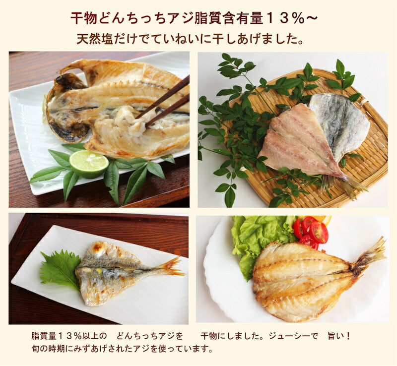 【送料込み】島根県浜田港 干物の河野乾魚店干物アジ 小5枚 どんちっちアジ