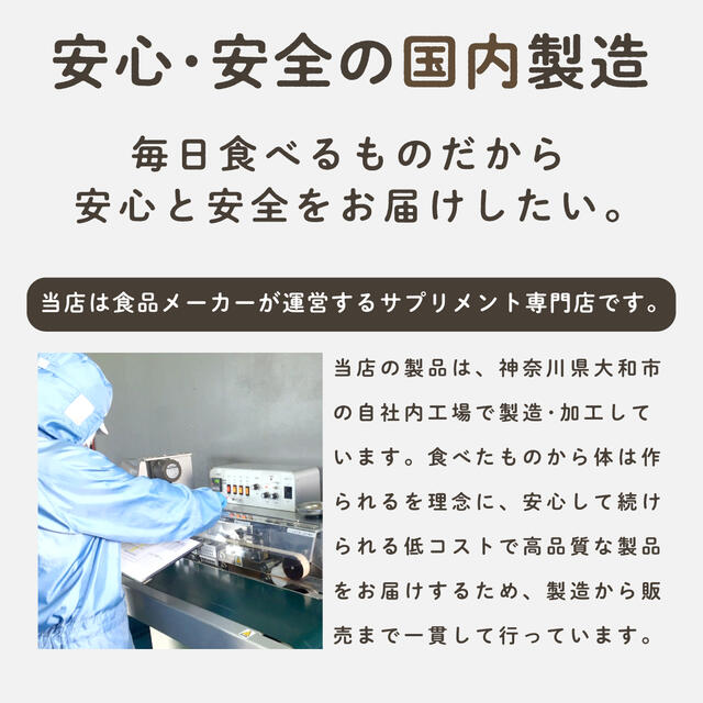 亜鉛 サプリメント 亜鉛GOLD 1袋 180粒 約3ヶ月分 亜鉛サプリ aen-180