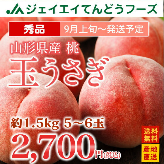 桃 送料無料 秀品 山形県産 白桃 玉うさぎ 約1.5kg(5〜7玉) ※一部地域は別途送料追加