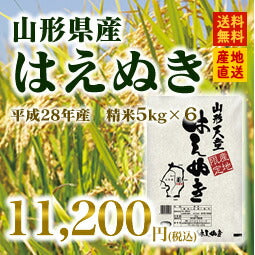 28年産 山形県天童産はえぬき精米30kg(5kg×6) 送料無料※一部地域は別途送料