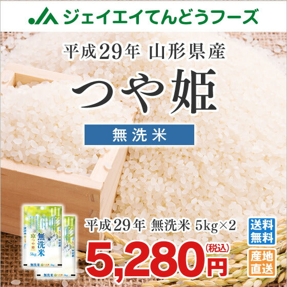 【無洗米】29年産米 山形県産米 つや姫米 ブランド米 10kg(5kg×2)米 JA米 rtm10