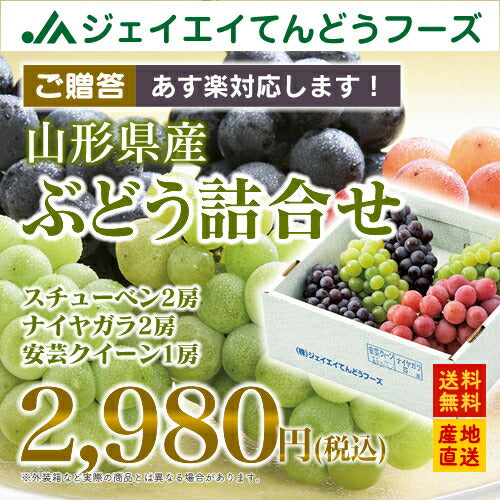 【送料無料】山形県産ぶどう詰め合わせ(スチューベン・ナイヤガラ・安芸クイーン・2kg)※九州・沖縄・一部離島は別途送料