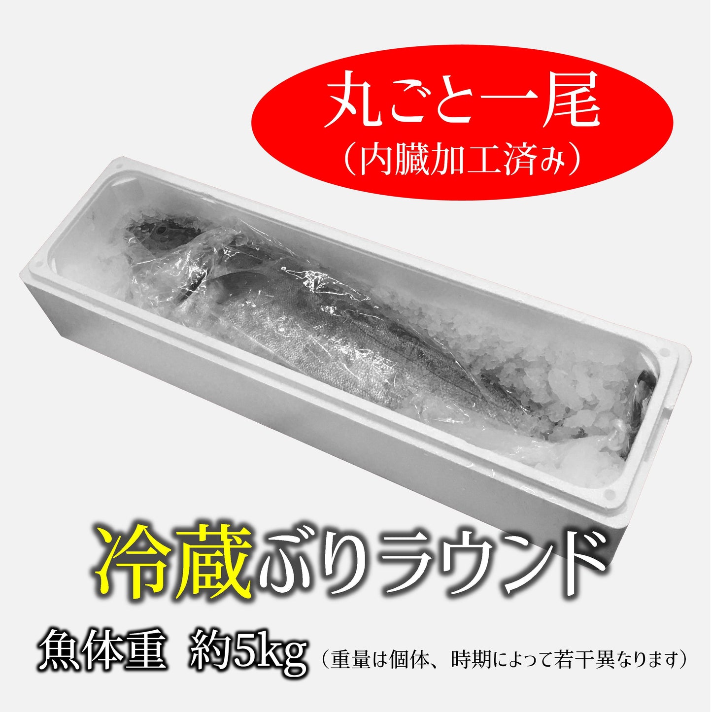 鹿児島産ぶり・冷蔵 1尾(内臓加工済み)