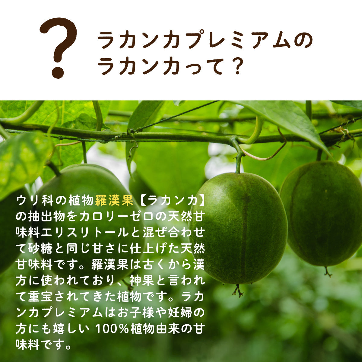 ラカンカプレミアム 950g