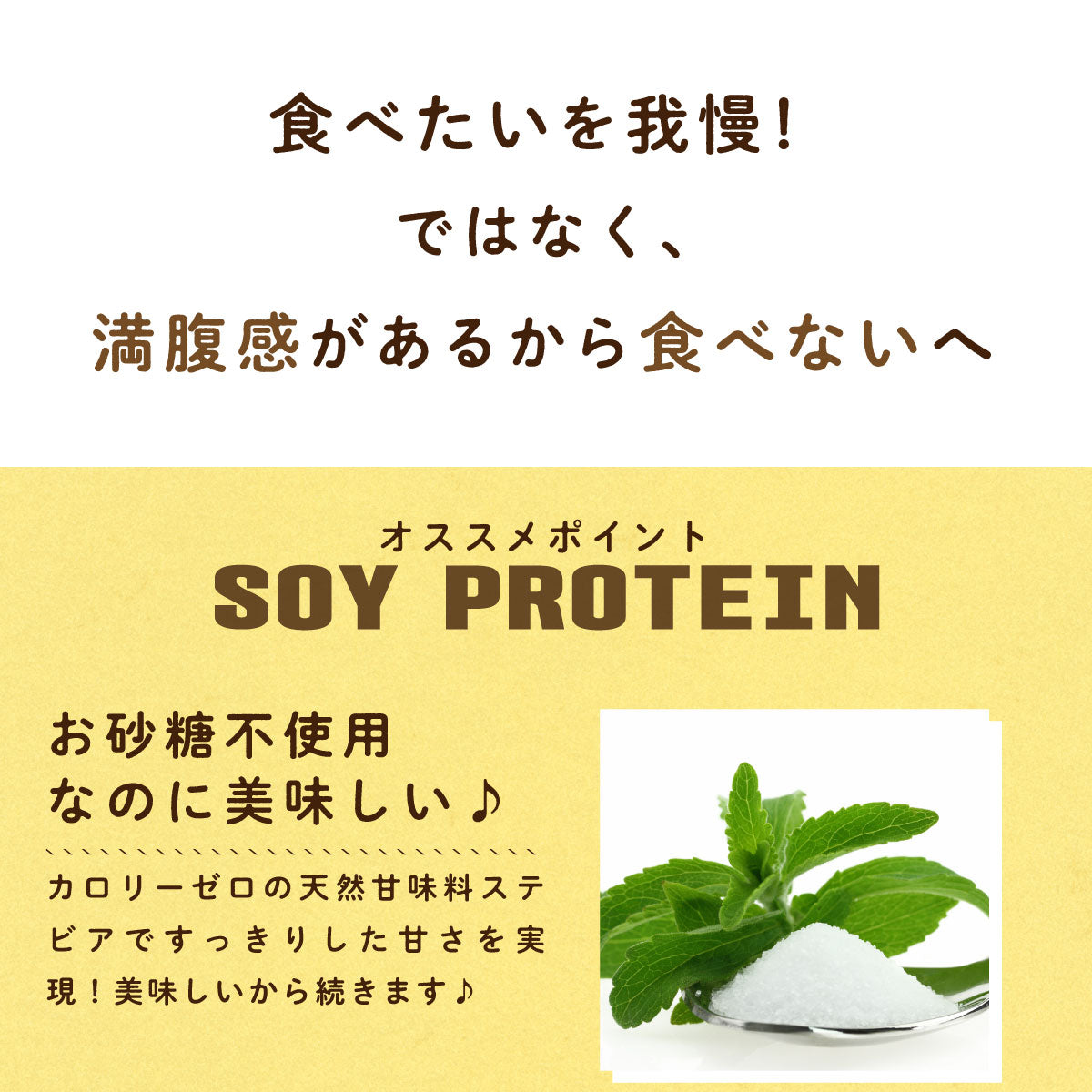 カカオ味 大豆プロテイン ソイプロテイン 500g