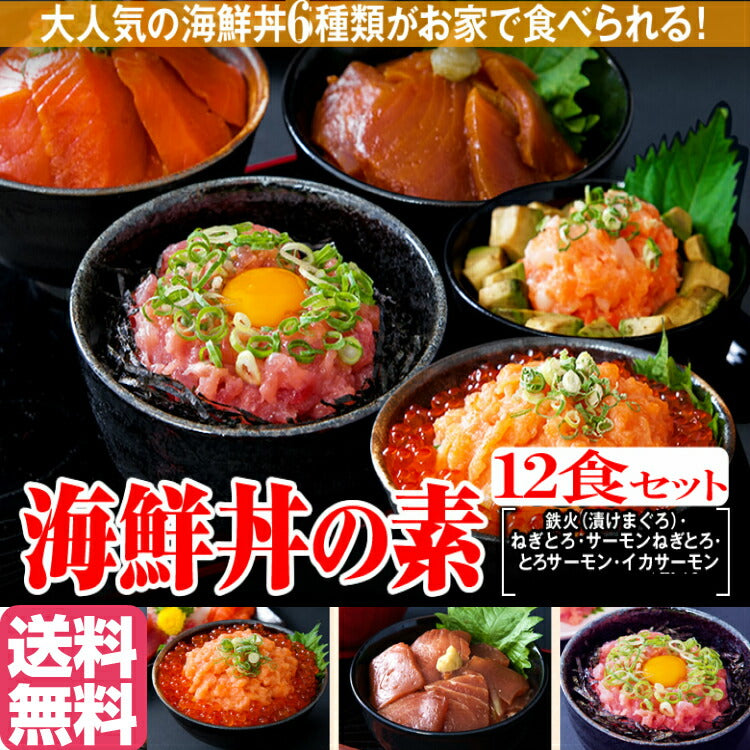 【先着10購入限定・50%OFF】海鮮丼 12食セット
