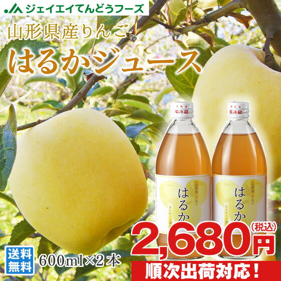 はるかジュースセット(果汁100%・600ml×2本)【送料無料】※一部地域は別途送料追加