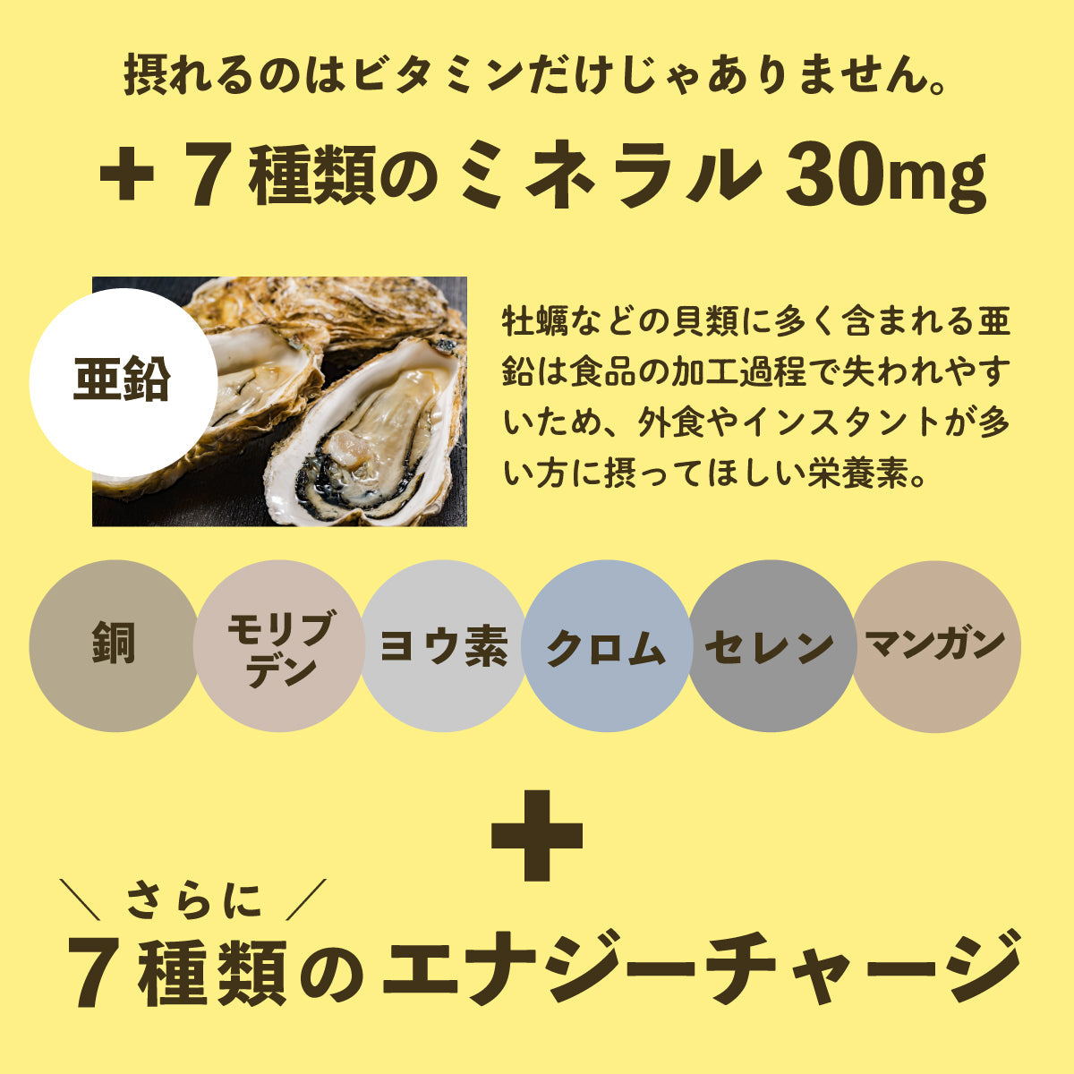 ビタミン ミネラル サプリ マルチビタミンEX 1袋 180粒 約2ヶ月分