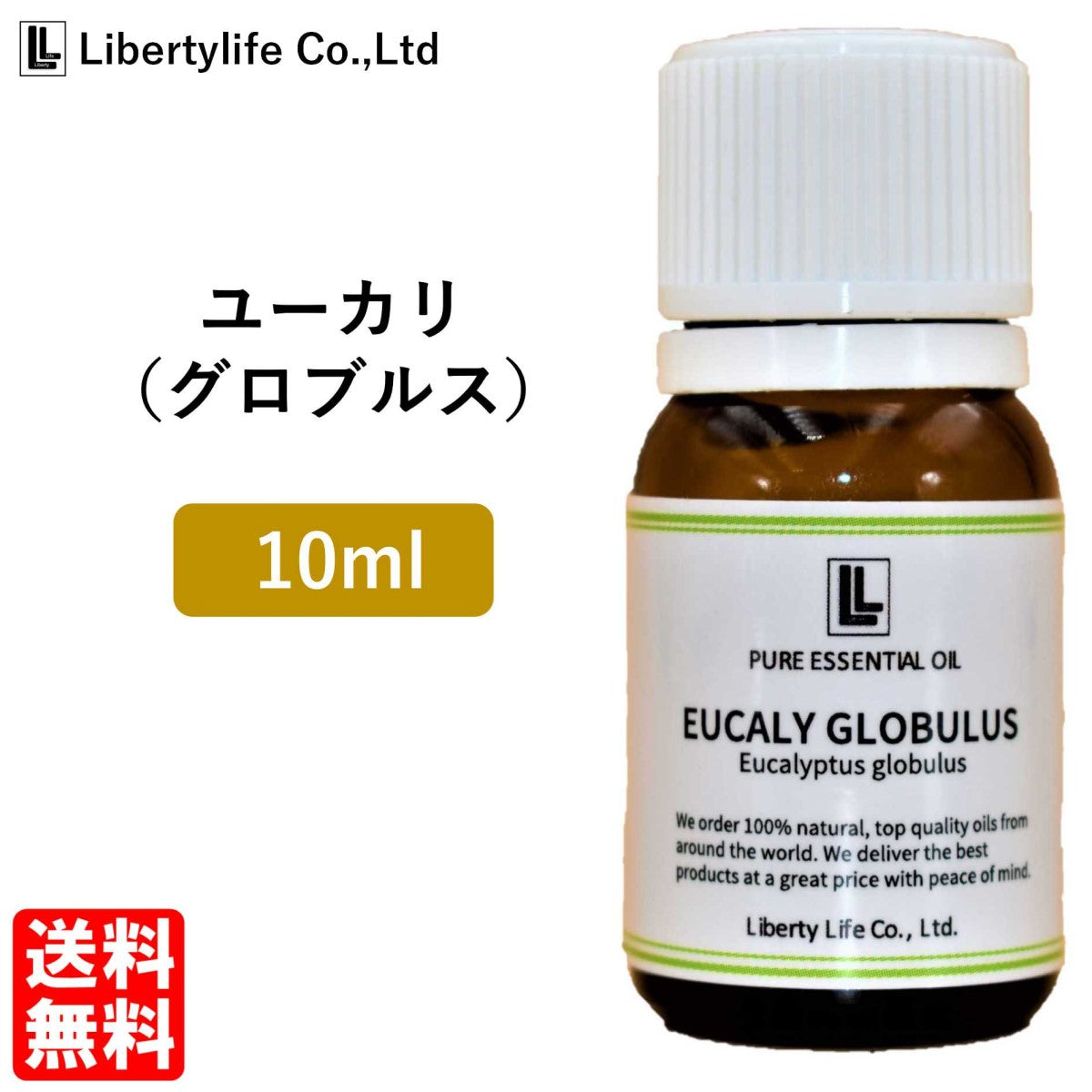 ユーカリ・グロブルス 10ml×5本 - エッセンシャルオイル