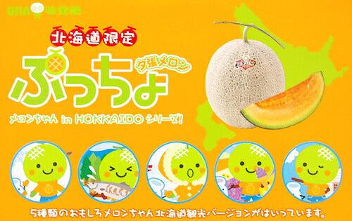 【タイムセール】北海道限定 ぷっちょ 5個 夕張メロン 送料無料
