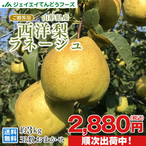 ギフト 送料無料 山形県産西洋梨ラネージュ約3kg(玉数おまかせ)※九州・沖縄・一部離島を除く