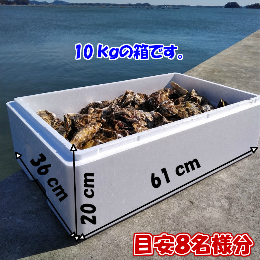 牡蠣 殻付き SSサイズ10kg(約200粒)10キロ 冷凍便 送料無料! 宮城県産 殻付き牡蠣 殻付き 殻付 カキ 加熱用 松島牡蠣屋 無選別牡蠣 牡蛎 BBQ バーベキュー食材 海産物 「牡蠣 SS10kg」【120】