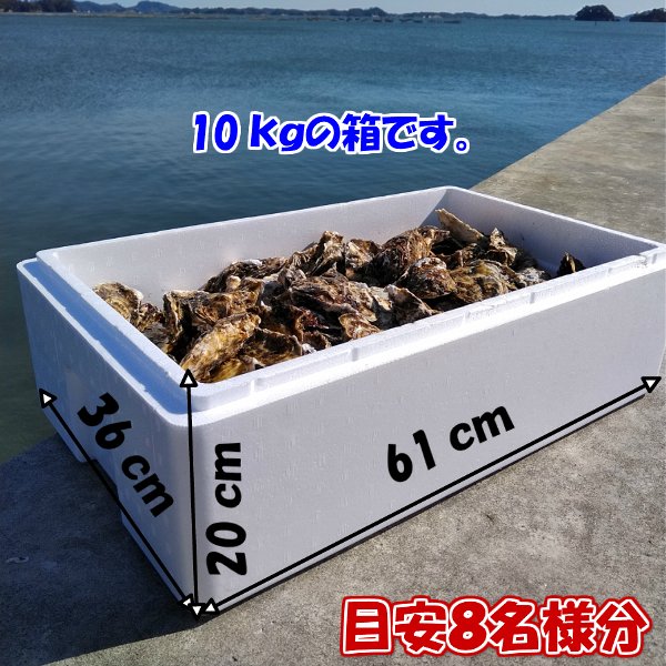「生食用 殻付き 牡蠣 8kg」生食用(56~140粒)【一部条件付き要説明確認】牡蠣 殻付き 牡蛎 牡蠣 殻付 宮城県産 カキ 加熱出荷時増量で10kg【現在は生食出荷中】海産物 魚介類 魚介 海鮮 母の日 父の日 送料無料 BBQ バーベキュー 【120】