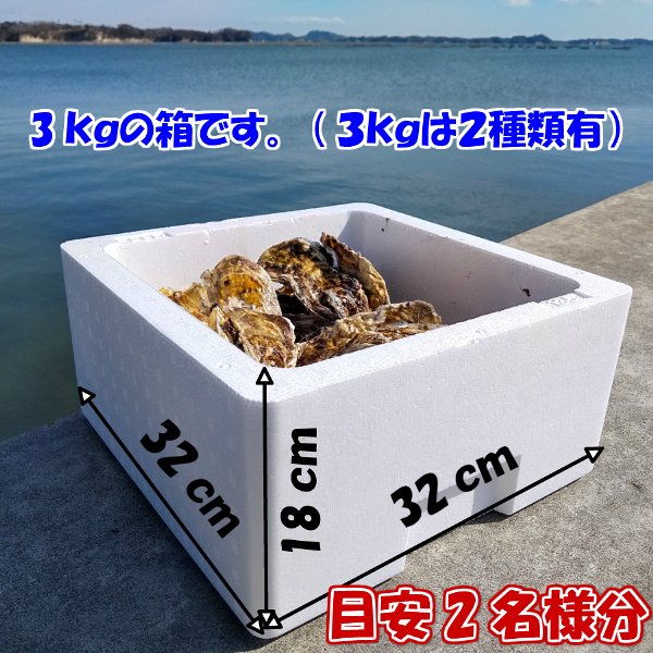 「生食用 殻付き 牡蠣 2kg」生食用(14~35粒)【一部条件付き要説明確認】牡蠣 殻付き 牡蛎 牡蠣 殻付 宮城県産 カキ 加熱出荷時増量で3kg【現在は生食出荷中】海産物 魚介類 魚介 海鮮 母の日 父の日 送料無料 BBQ バーベキュー 【80】