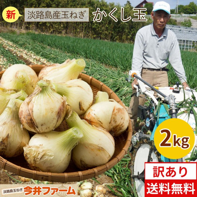 【週末限定セール】たまねぎ (訳) 淡路島 玉ねぎ 2キロ Sサイズ~2Lサイズお任せ