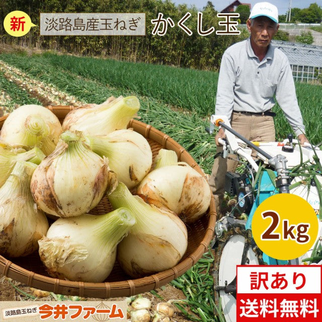 【3人シェア買いでお得】たまねぎ (訳) 淡路島 玉ねぎ 2キロ Sサイズ~2Lサイズお任せ