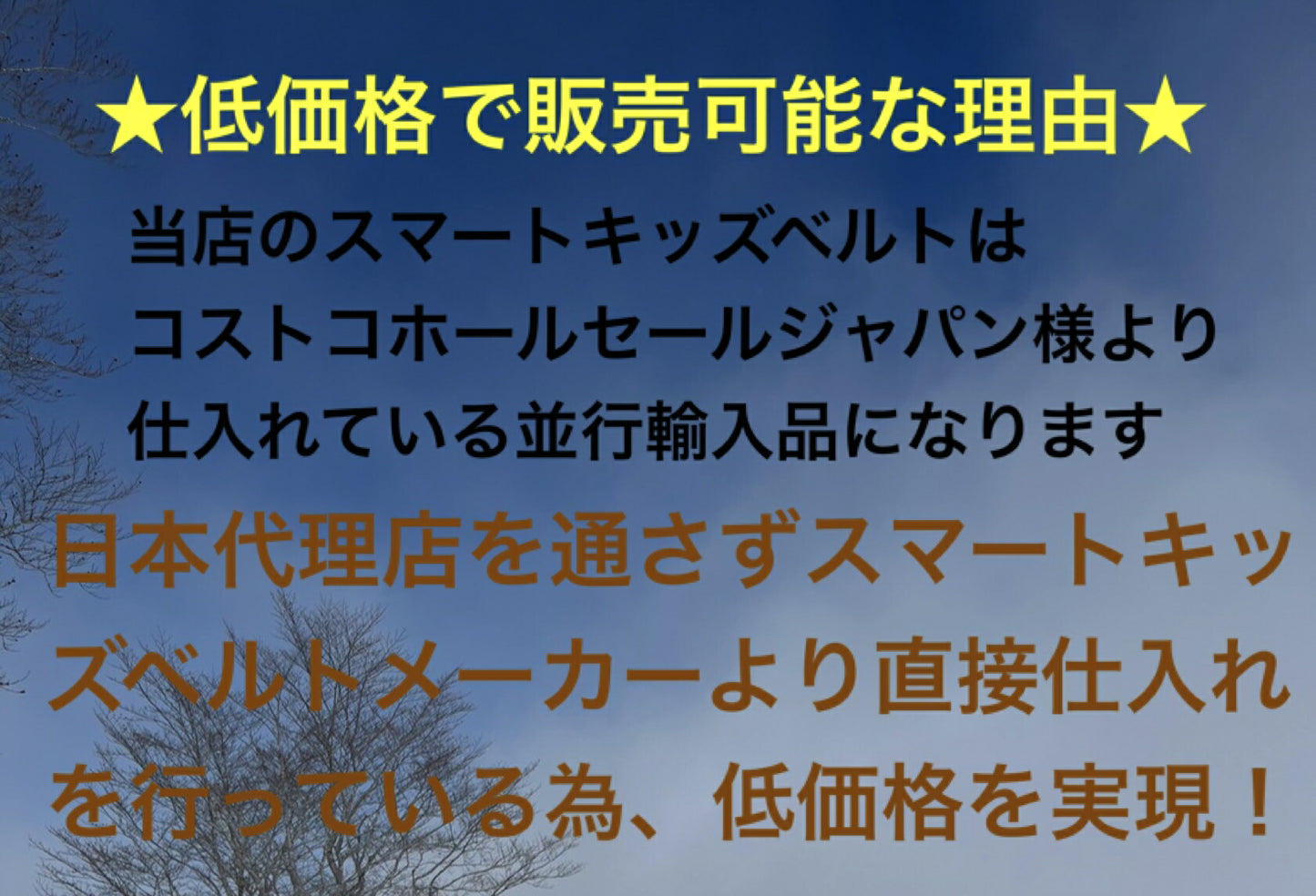 宅配便発送★日本正規品2個セット★ 新 スマートキッズベルト 2本入り (説明書付き 袋入り) メテオAPAC ベルト型幼児用補助装置 簡易型チャイルドシート Eマーク適合 コストコ 子供用シートベルト 2個 キッズ セーフティー 車 ドライブ smart KID belt B1078
