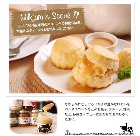 母の日 訳あり 新村 ミルクジャム ラムレーズン 賞味期限 4/23 送料無料 在庫処分 数量限定