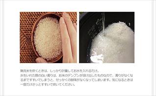 5kg×4袋【20kg】無洗米 令和3年 九州 宮崎県産ヒノヒカリ 洗美味米(あらうまい)