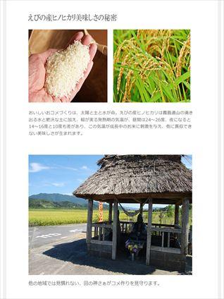 5kg×1袋【5kg】 令和3年 九州 宮崎県えびの産ひのひかり