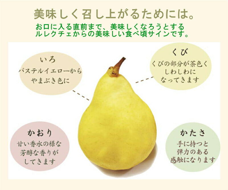 【フルーツ 梨 洋梨 ルレクチェ 送料無料】新潟県白根 梨栽培農家 和泉果樹園有機質肥料栽培 ルレクチェ 大玉 4kg(7個~9個)化粧箱入【ル・レクチェ 梨 贈答品 プレゼント】