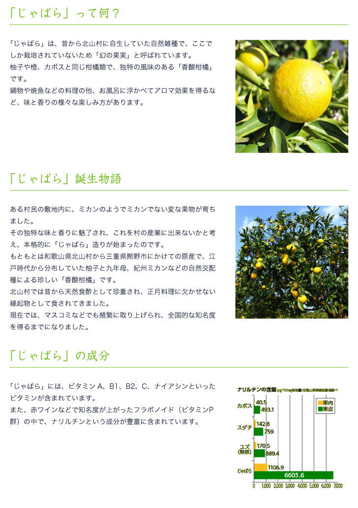 じゃばらウォーター510ml 1ケース(24本入り) 和歌山県 北山村 公式 ジュース 柑橘 邪払 ペットボトル ドリンク 飲料 果物 じゃばら果汁 濃縮エキス配合