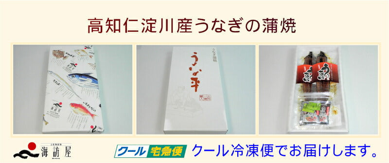 【送料込み】高知県高知市場 土佐海産物 海訪屋高知県仁淀川産うなぎの蒲焼 2尾