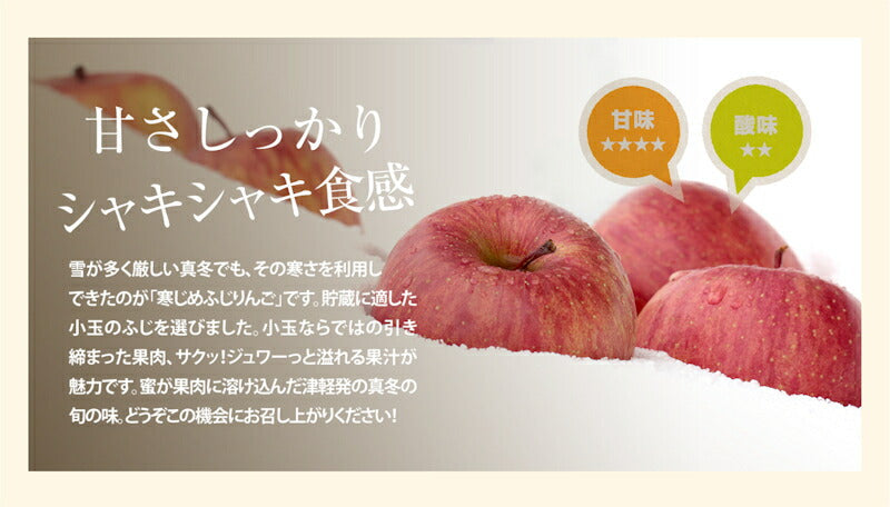【フルーツ りんご 青森りんご 送料無料】青森県弘前市 赤石りんご園青森りんご 寒じめふじりんご 5kg(18玉~28玉)通常品 期間限定樹上完熟りんご【リンゴ 果物 贈答品 ギフト】