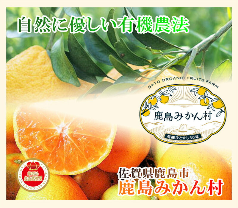 【フルーツ レモン 有機リスボンレモン】佐賀県 鹿島市 有機みかん佐藤農場有機栽培 リスボンレモン 3kg 採りたてを農園から産地直送 送料無料【ミカン 果実 ギフト 無農薬栽培】