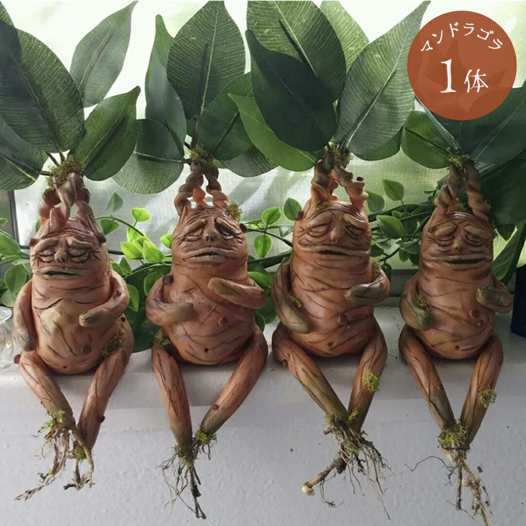 カイゾクソウコ☆マンドレイク☆28号☆人形☆フィギュア☆モンスター