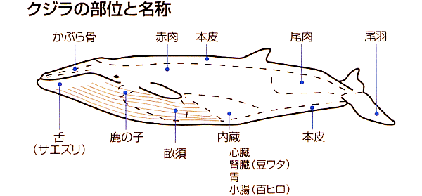 120g【訳あり】くじら大和煮(甘辛煮)国産クジラ