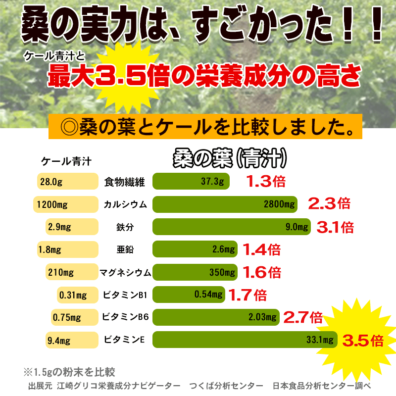 【限定クーポンで20%OFF】国産 桑の葉パウダー 500g 無添加 ノンカフェイン 粉末 桑の葉茶