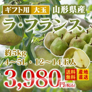 【ギフト】山形県産洋梨大玉ラフランス約5kg(4L-5L・12-14玉入り)【送料無料】※九州・沖縄・一部離島を除く